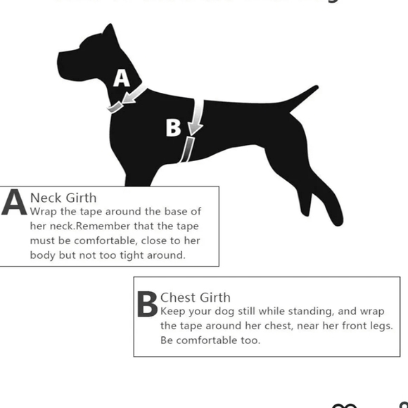 Black Leather Dog Harness New - Picture 6 of 14